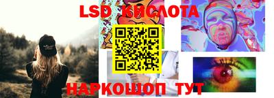 ПСИЛОЦИБИНОВЫЕ ГРИБЫ Коммунар
