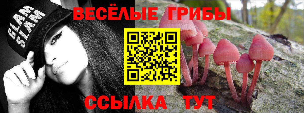 Псилоцибиновые грибы Psilocybe  Вход с VPN  Псилоцибиновые грибы Psilocybine cubensis  Коломна 